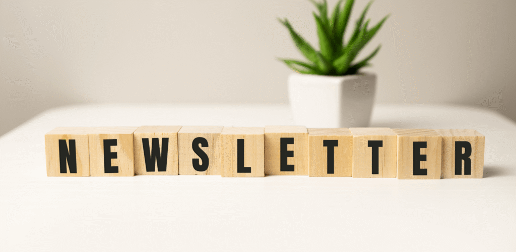 como crear una newsletter de exito